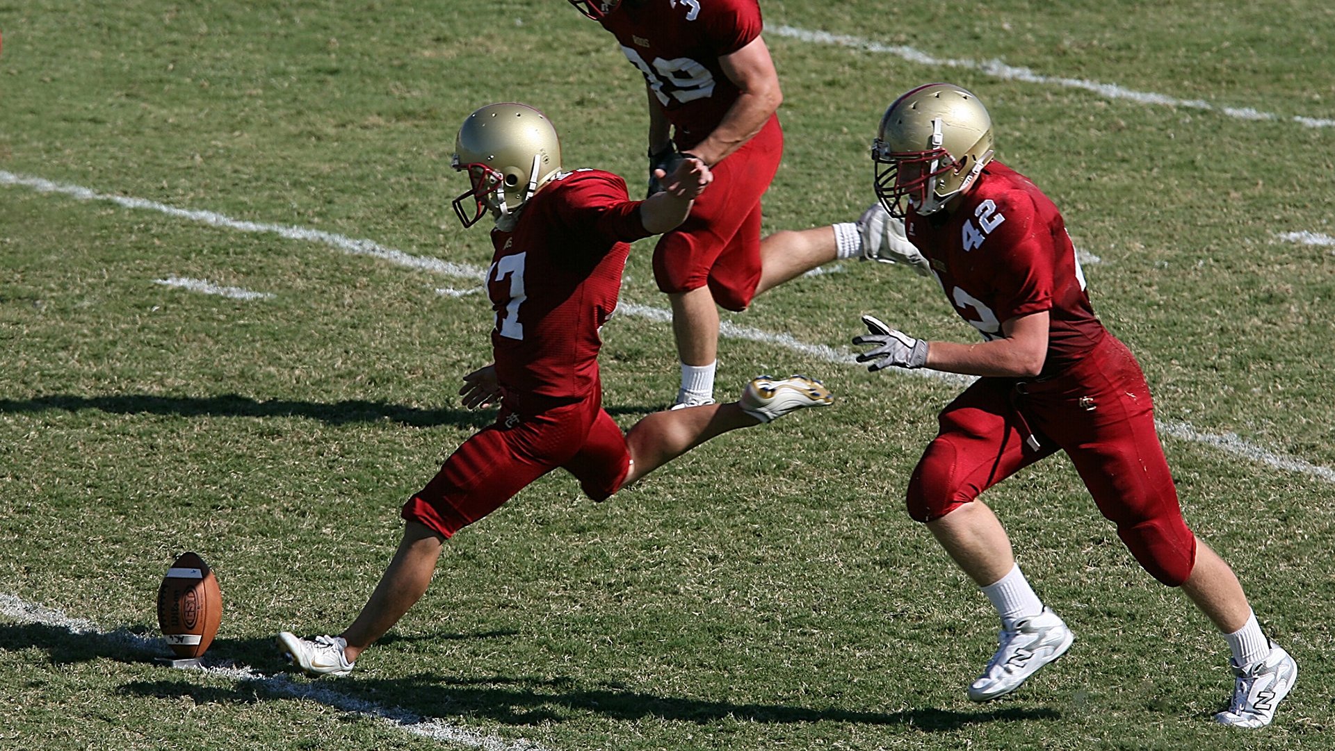 天赋异禀:挡不住的赛场明星,天赋异禀的演员名单